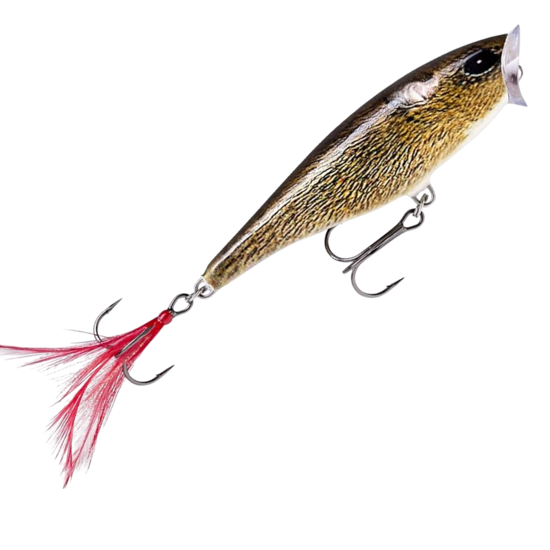 Rapala SP07FML Skitter Pop Fishing Lure, Live Field Mouse, 2-3/4", 1/4 oz, Topwater Lures