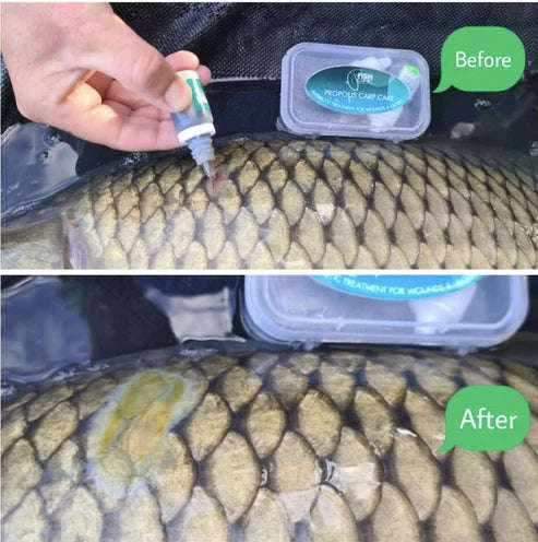 Fish Clinic Carp Care Complete Medi Kit