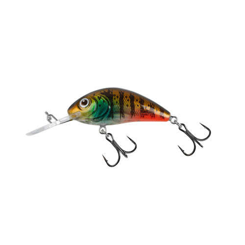 Salmo Rattlin Hornet Floating Lure