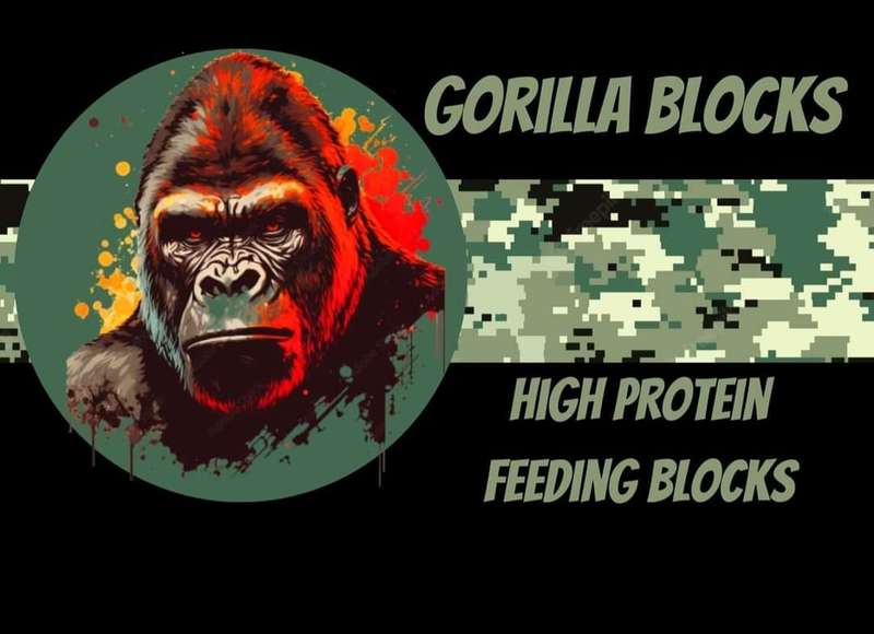 Gorilla Blocks Molasse 5kg