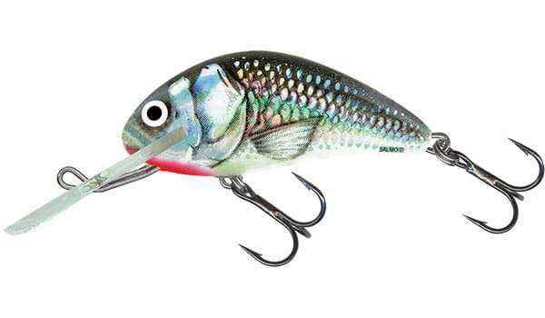 Salmo Hornet Floating 4cm Lure
