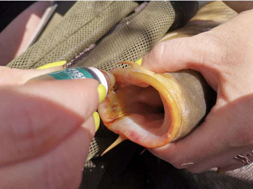 Fish Clinic Carp Care Complete Medi Kit