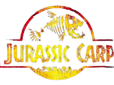 Jurassic Carp Tiger nuts