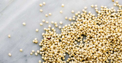White Sorghum 1kg Lunker