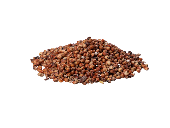 Red Sorghum 1kg Lunker