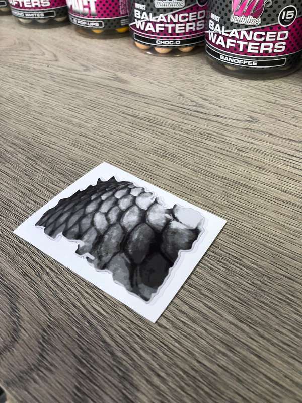 Stickers - CARP SCALES