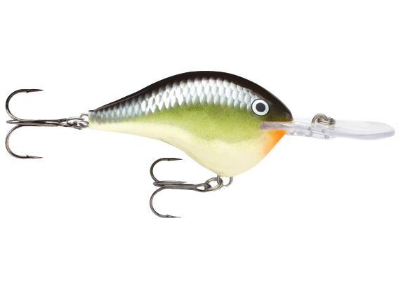 Rapala Dive To Crank DT10