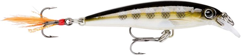 Rapala X-Rap 10 Jerkbait