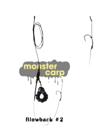 RTF Rig-Blowback RIG Monster Carp (Ready to Fish Blowback Rig)