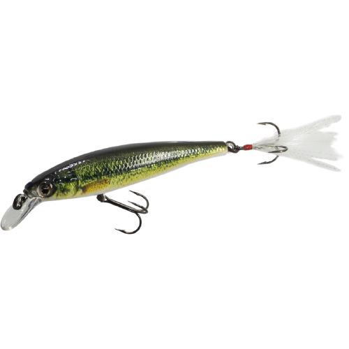 Sensation Jerk Minnow