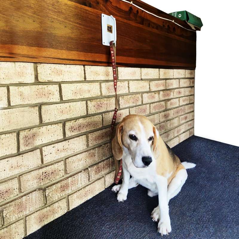 Park a Bark - Pet Leash Wall Hook