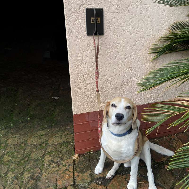 Park a Bark - Pet Leash Wall Hook
