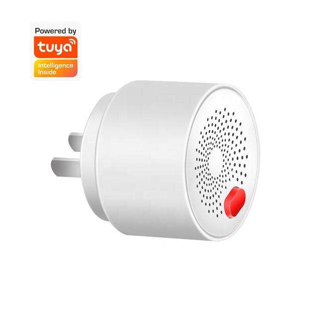 Gas sensor