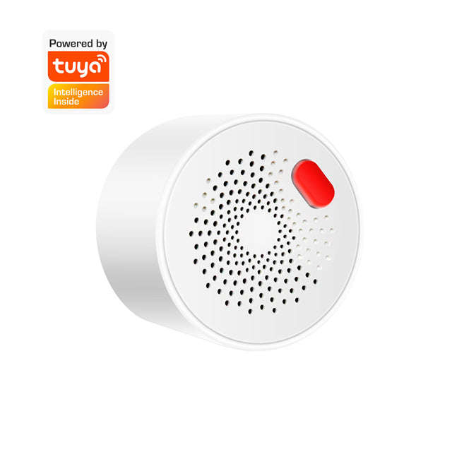 Gas sensor