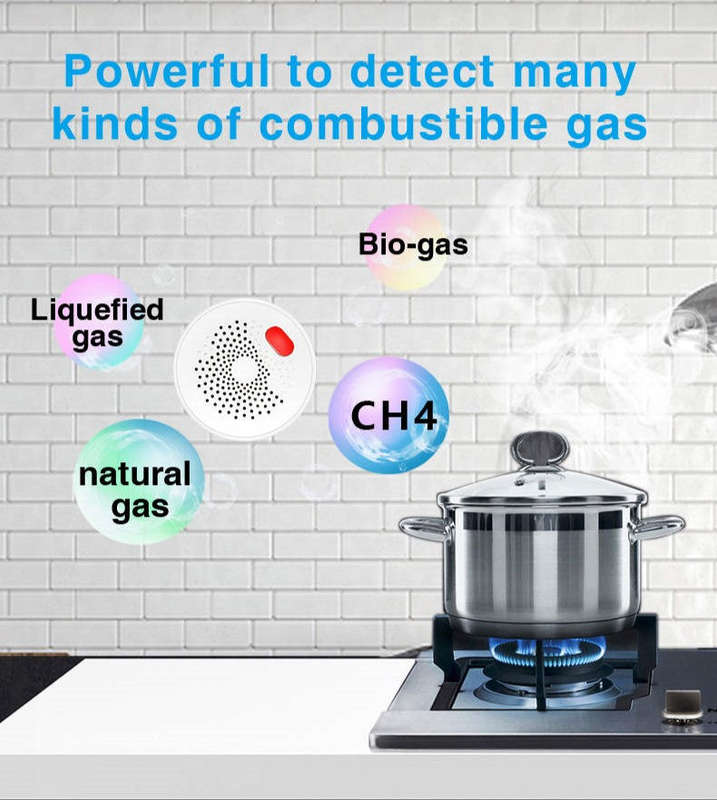 Gas sensor