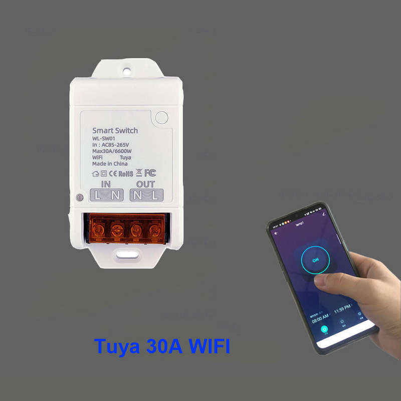 30A WiFi switch