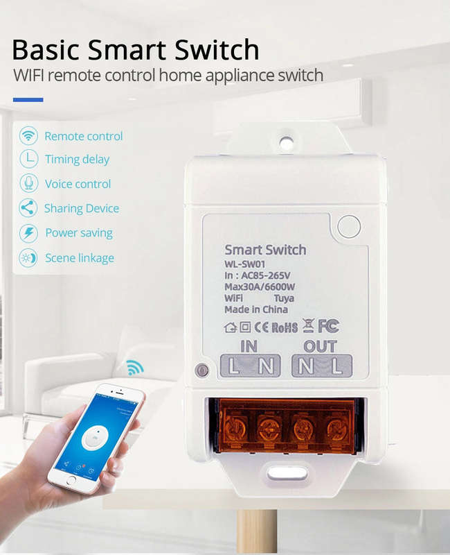 30A WiFi switch