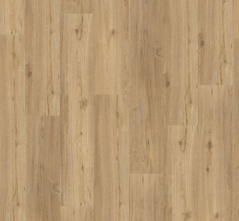 Oak Natural - Basic 2.0 Class 32 Vinyl Glue Down Wide Plank (Commercial)