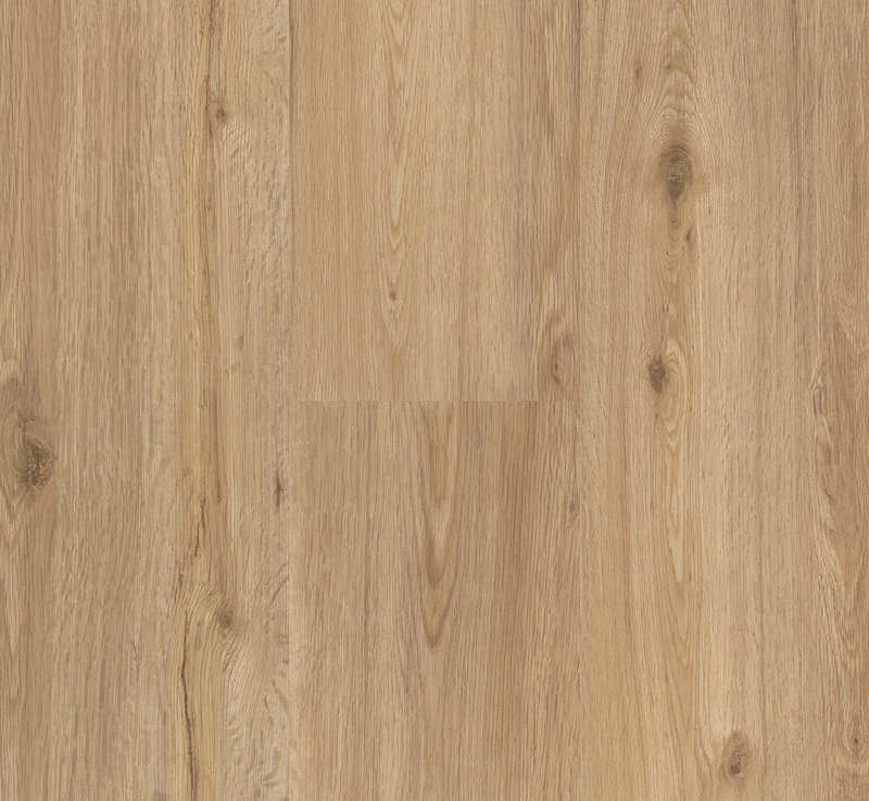 Oak Natural - Basic 2.0 Class 32 Vinyl Glue Down Wide Plank (Commercial)