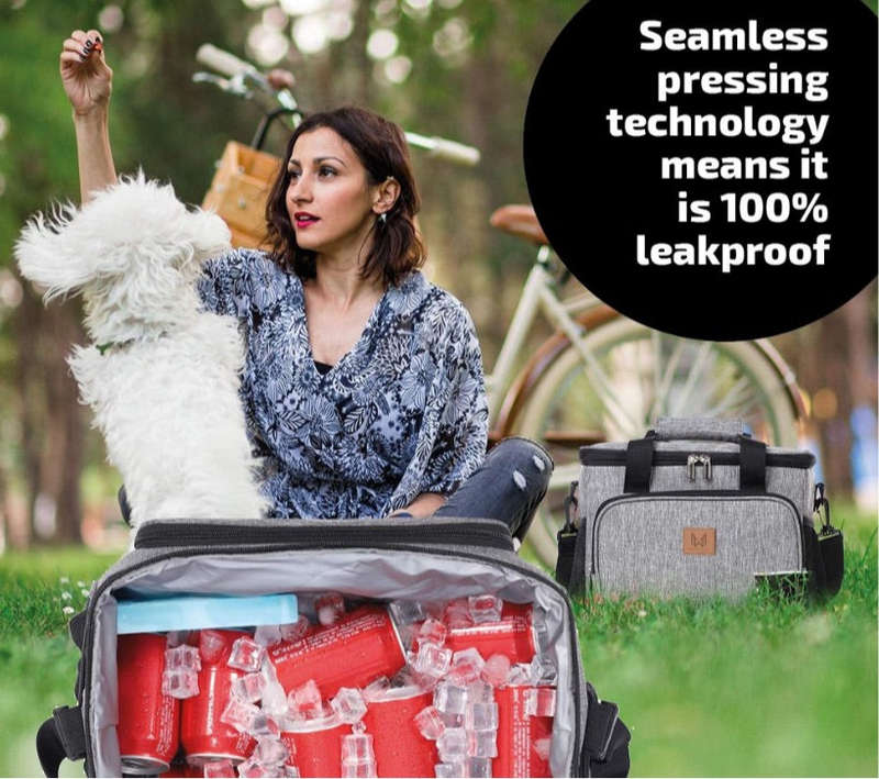 15L Insulated Lunch Box and Cooler Bag