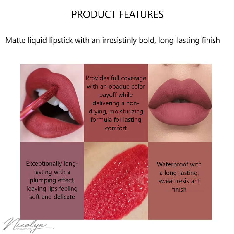 Nicolyn Matte Liquid Lipstick set with Pocket Make-up Mirror: Darker Color