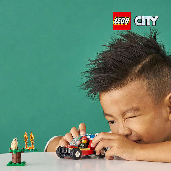LEGO® Forest Fire