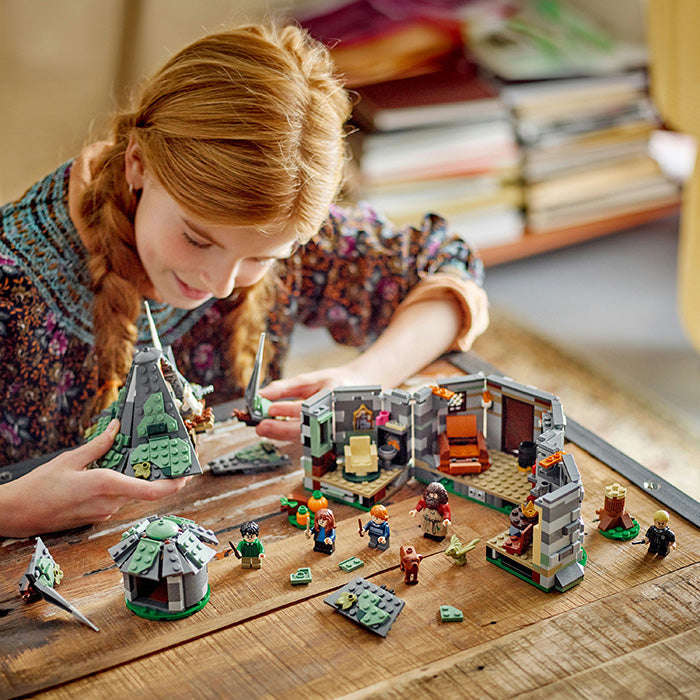 LEGO® Harry Potter Hagrids Hut: An Unexpected Visit 76428