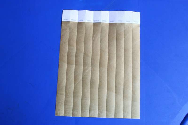 Tyvek 19mm Wristbands for Events (Plain)