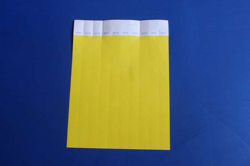 Tyvek 19mm Wristbands for Events (Plain)