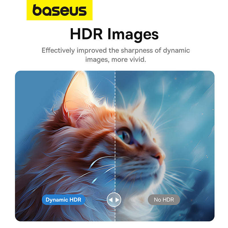 Baseus High Definition Series Type C to DP 8K Adapter 1.5m Cluster Black