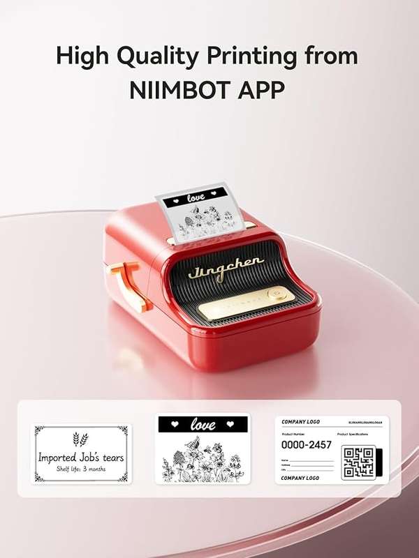NIIMBOT B21 - Portable Thermal Printer - For Home & Office Organization