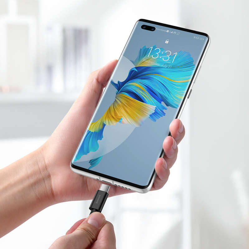 Baseus Superior Series Fast Charging and Data Cable USB to Type-C 66W 2M Black