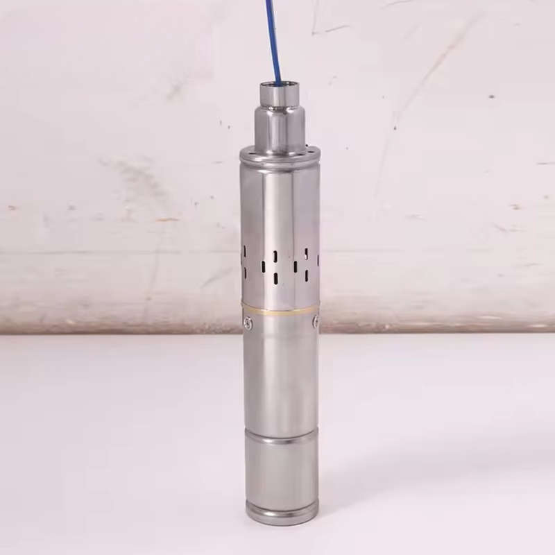 100m Solar Water Pump External Controller Screw Pump 3SPS1.8/100-D36/350