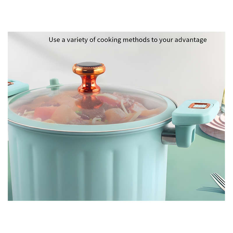 28cm Micro Pressure Pot With Glass Lid And Resistant Handles ID-115