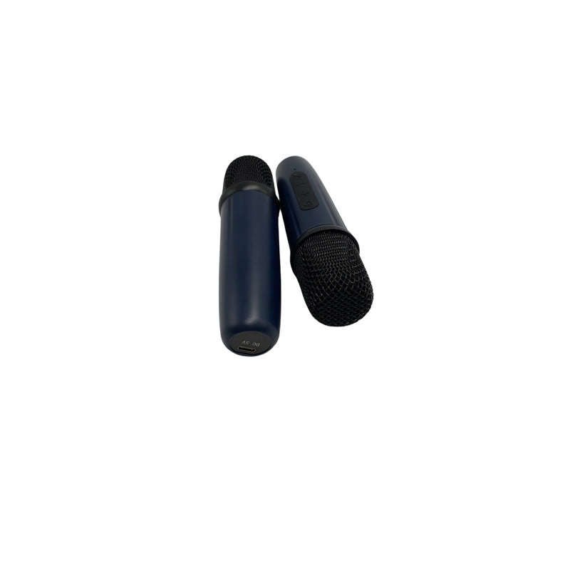 Wireless Portable Speaker With Two Microphones KMS-197