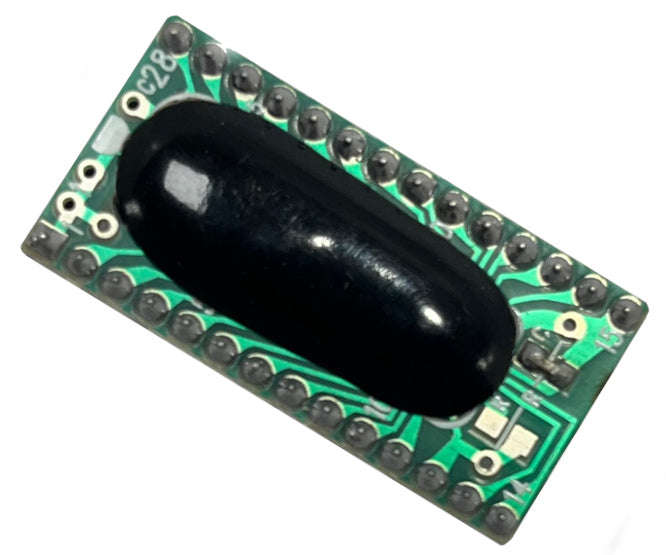 Ic voice recording 20 sec. pm50s20m