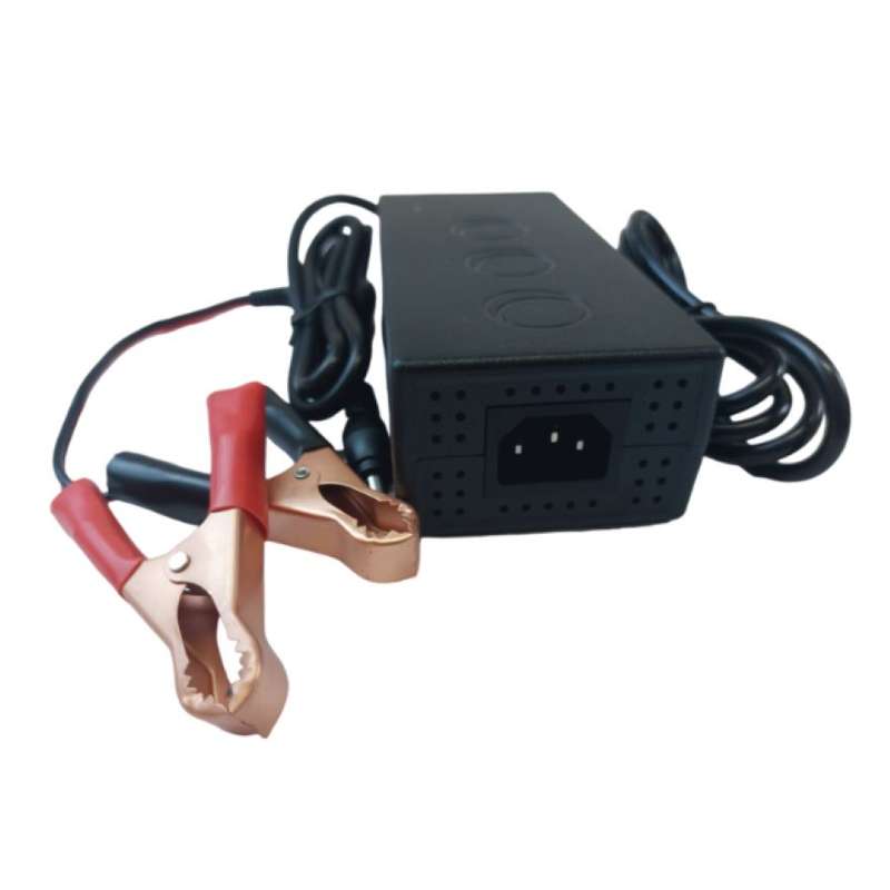 14.6V 12V 10A Lifepo4 Iron Phosphate Battery Charger