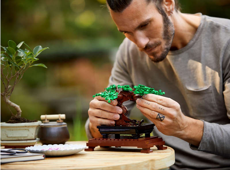 LEGO® Creator Expert 10281 Bonsai Tree