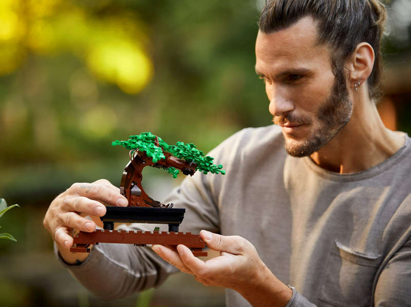 LEGO® Creator Expert 10281 Bonsai Tree