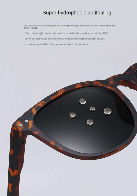 Shadow Strider Foldable Sunglasses
