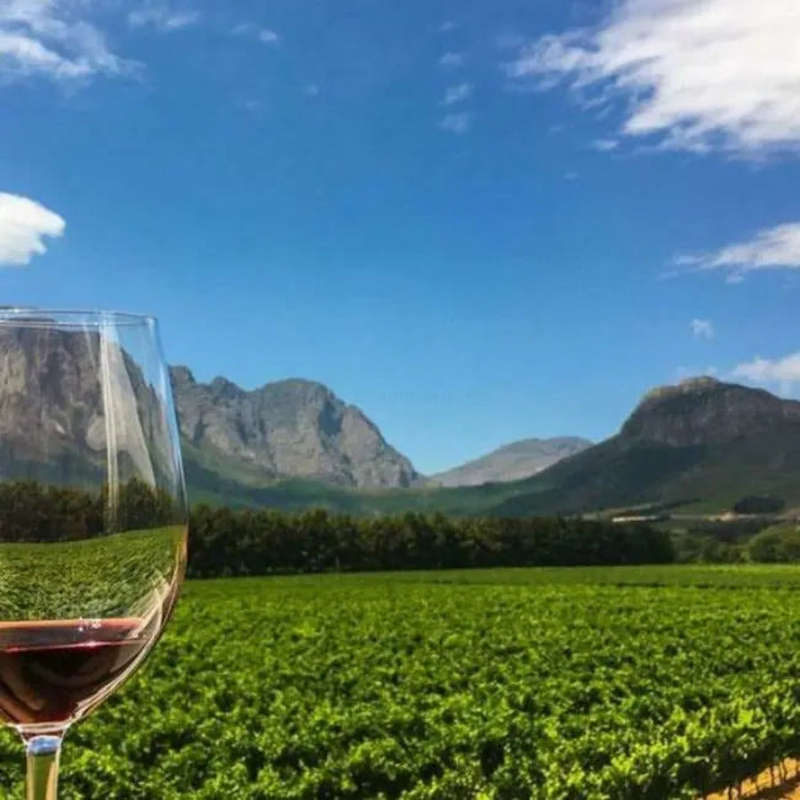 Winelands Celebration Experience