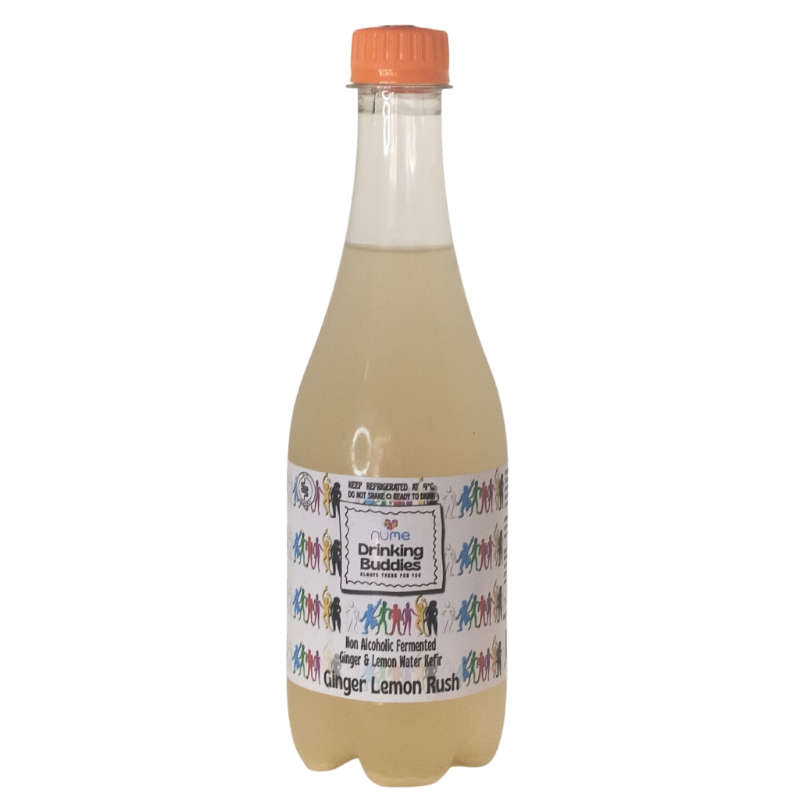 Ginger Lemon Rush Water Kefir 500ml