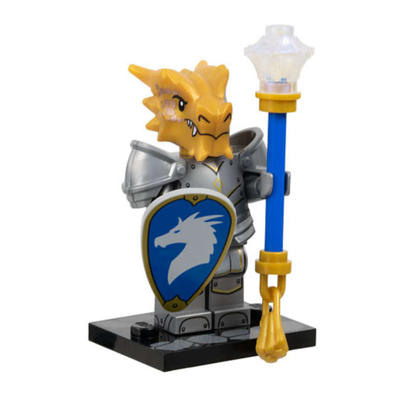 Dragonborn Paladin, Dungeons & Dragons (Complete Set with Stand and Accessories)