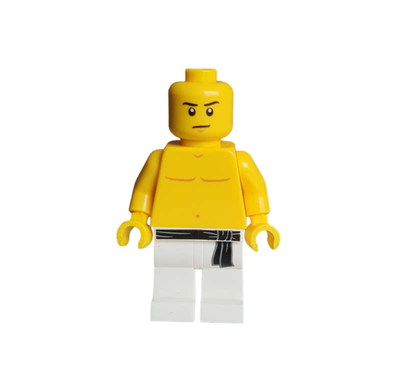 Karate boy custom lego minifigure