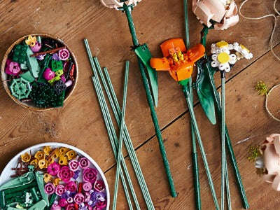 10280 Icons Botanical Flower Bouquet