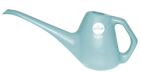 Sebor Watering Can 1 L Teal - Bargain Bin