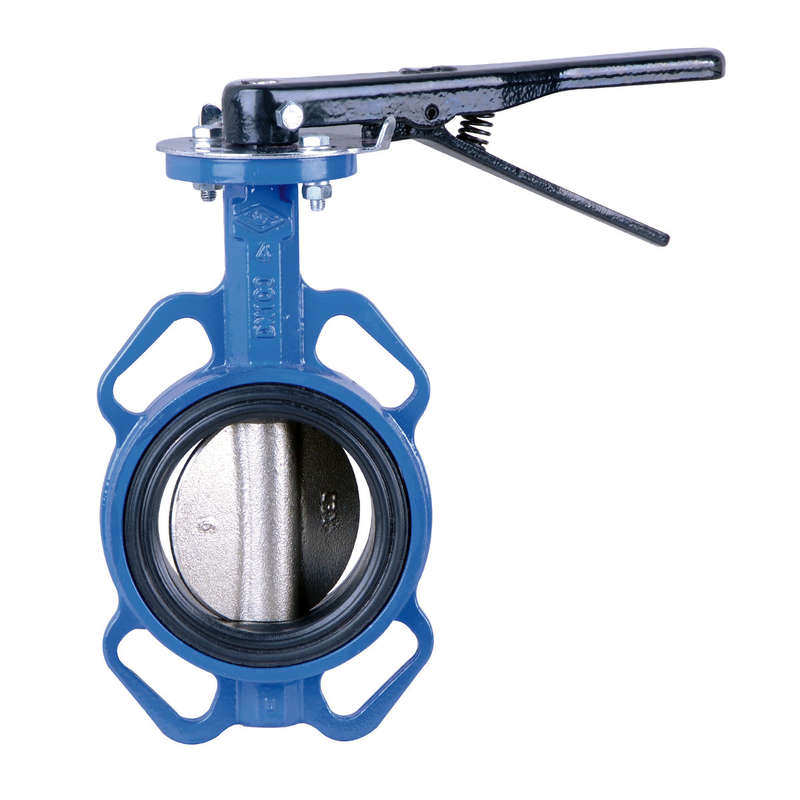 Valve Butterfly Cast Iron Lever Di 16 B 100 Mm