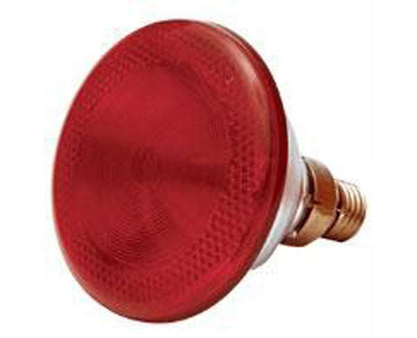 Poltek Lamp / Globe Infrared 175 W (Philips)