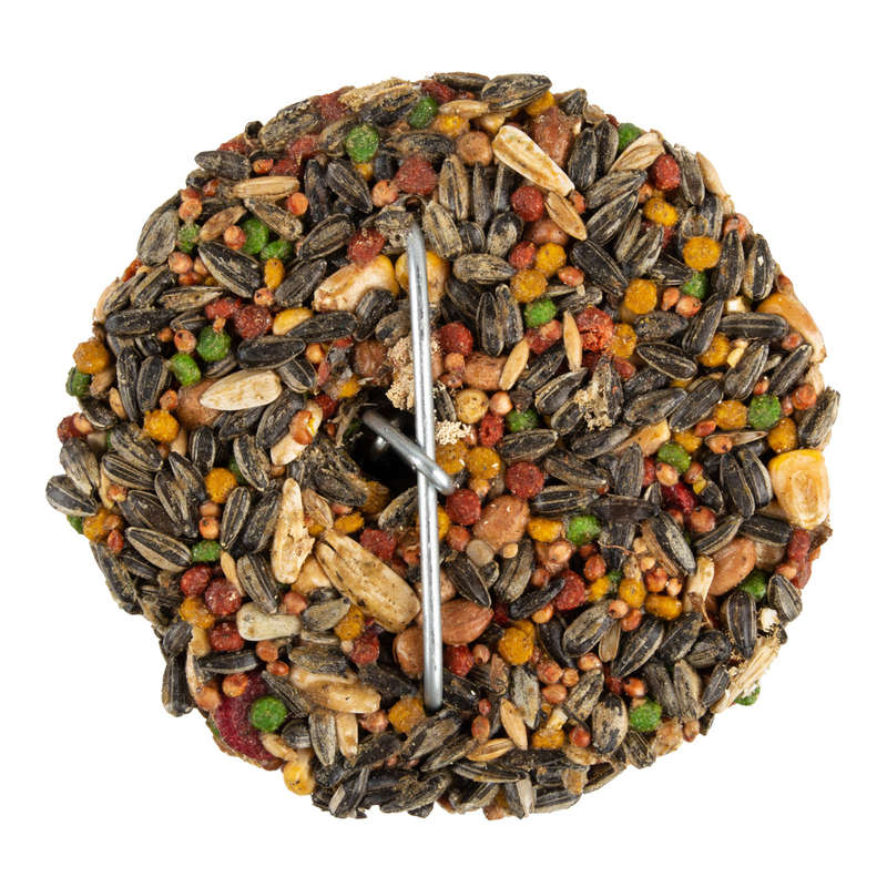 Complete Seed Bell Parrot Extra Large