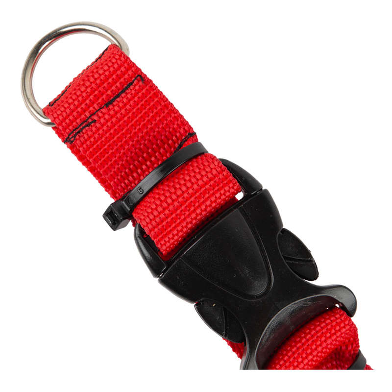 Complete Collar Nylon Medium